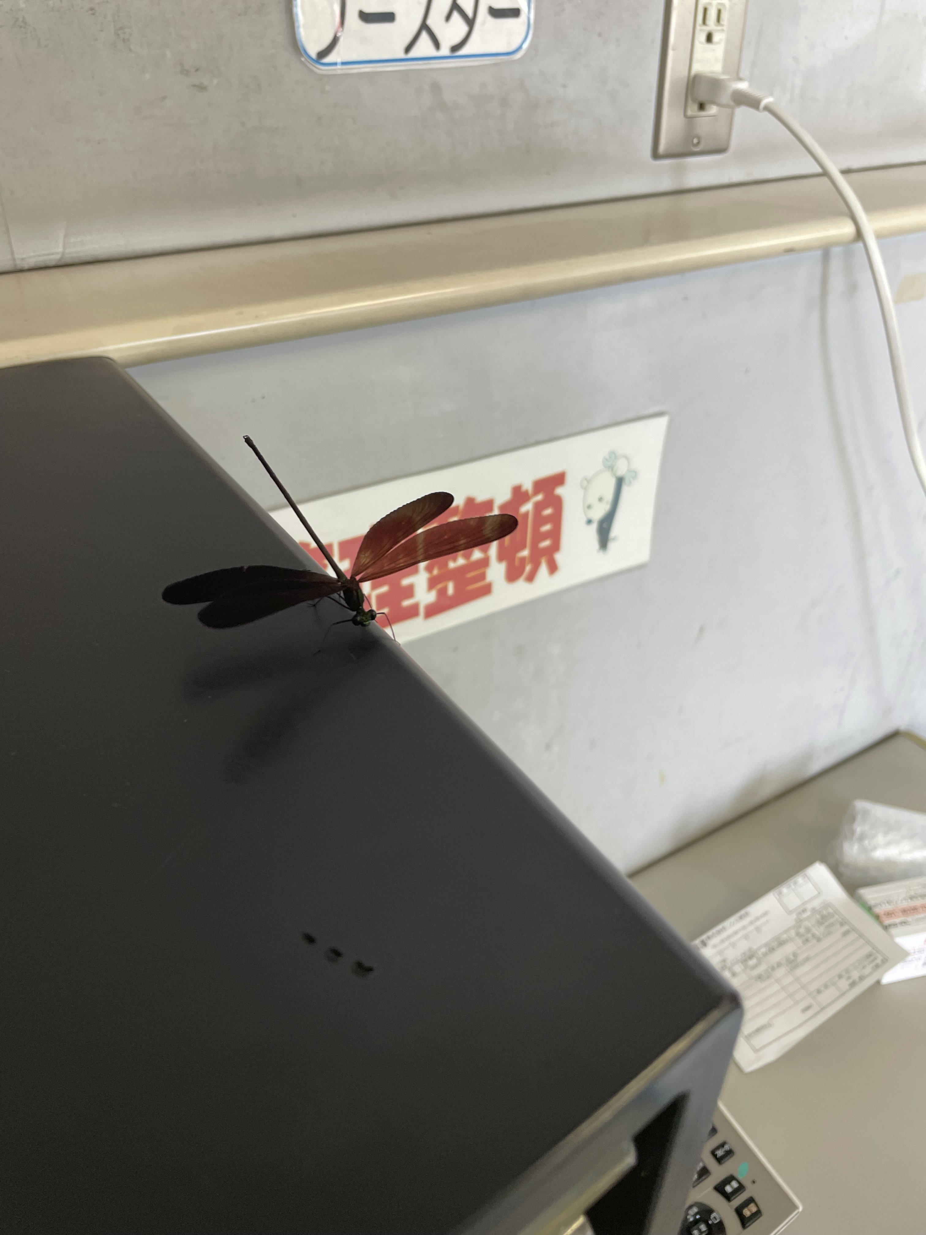 疑問