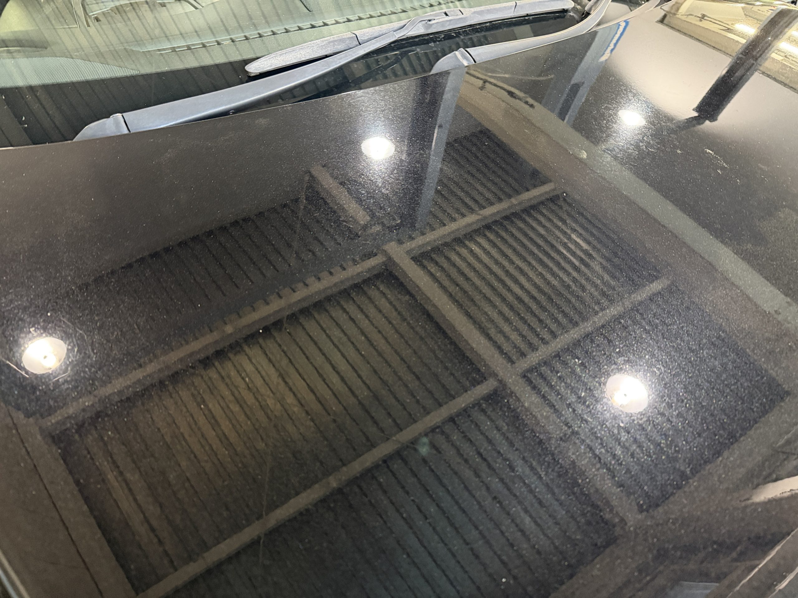 この時期ならでは・・・